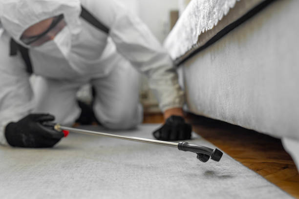 Professional Cockroach Control technician working in Crete, IL