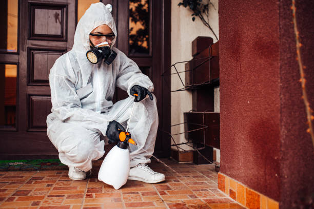 Reliable Cockroach Control contractor in Crete, IL by Nex Pest Control
