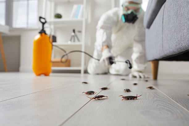 Affordable Cockroach Control solutions in Crete, IL