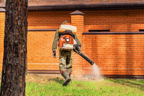 Top rated local Cockroach Control specialists in Crete, IL